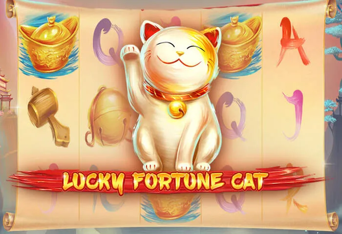 Offres de bonus et promotions exclusives d'Olimp Casino pour les joueurs.